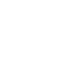 naobet Logo